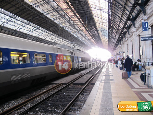 Cuộc sống của du học sinh ở "thành phố rượu vang" Bordeaux ảnh 3 Cuộc sống của du học sinh ở "thành phố rượu vang" Bordeaux ảnh 3