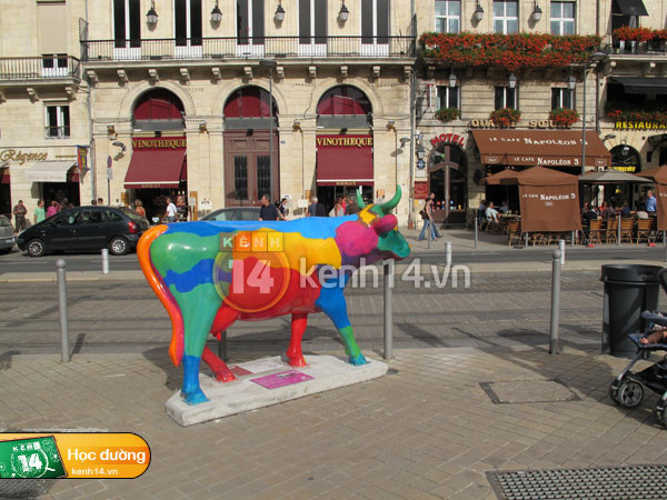 Cuộc sống của du học sinh ở "thành phố rượu vang" Bordeaux ảnh 6 Cuộc sống của du học sinh ở "thành phố rượu vang" Bordeaux ảnh 6