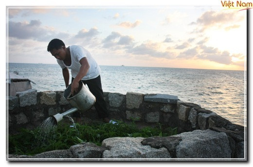 Nơi đầu sóng ngọn gió, những người chiến sĩ hải đảo vẫn tăng gia sản xuất Nơi đầu sóng ngọn gió, những người chiến sĩ hải đảo vẫn tăng gia sản xuất