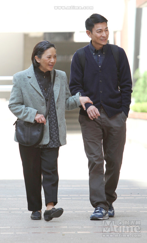 Lưu Đức Hoa và Diệp Đức Nhàn trong Đào Tỷ