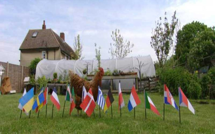 Chuyên gia dự đoán tồi nhất – Gà Kev: Tỷ lệ đoán chính xác của chú gà này là 13/31 lần (41,9%), và tất nhiên thua xa bạch tuộc Paul Không hiểu là tại World Cup 2014 chúng ta sẽ có nhà dự đoán bóng đá mới là con gì, báo đốm chăng? Chuyên gia dự đoán tồi nhất – Gà Kev: Tỷ lệ đoán chính xác của chú gà này là 13/31 lần (41,9%), và tất nhiên thua xa bạch tuộc Paul Không hiểu là tại World Cup 2014 chúng ta sẽ có nhà dự đoán bóng đá mới là con gì, báo đốm chăng?