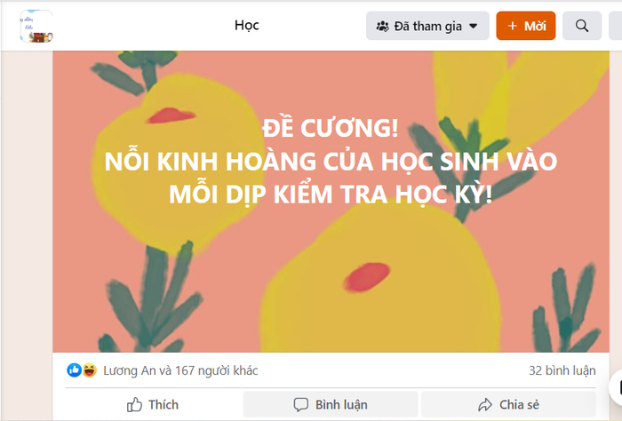 Ảnh chụp màn hình chia sẻ của phụ huynh trên mạng xã hội - Ảnh LM