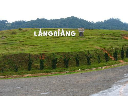 Bạn nào thích leo núi thì sẽ có cuộc thi Chinh phục đỉnh Langbiang đang chờ các bạn đó. Với độ cao 2.167m, đỉnh Langbiang là điểm đến mà chắc hẳn các bạn ưa mạo hiểm muốn chinh phục! Còn chờ gì nữa, nhanh chân đăng kí thôi! Thời gian là từ 1/1 đến 3/1/2012 tại núi Langbiang. Bạn nào thích leo núi thì sẽ có cuộc thi Chinh phục đỉnh Langbiang đang chờ các bạn đó. Với độ cao 2.167m, đỉnh Langbiang là điểm đến mà chắc hẳn các bạn ưa mạo hiểm muốn chinh phục! Còn chờ gì nữa, nhanh chân đăng kí thôi! Thời gian là từ 1/1 đến 3/1/2012 tại núi Langbiang.