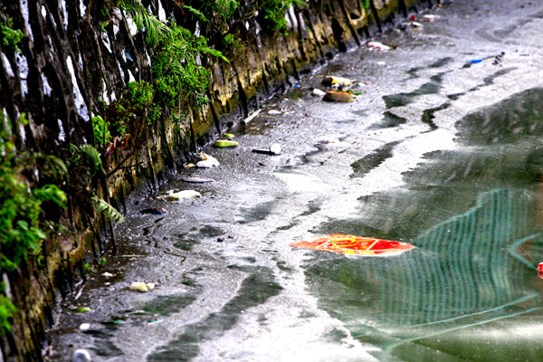 Đủ mọi thứ rác có thể tìm thấy bằng mắt thường trong lớp váng dày ven Hồ Tây