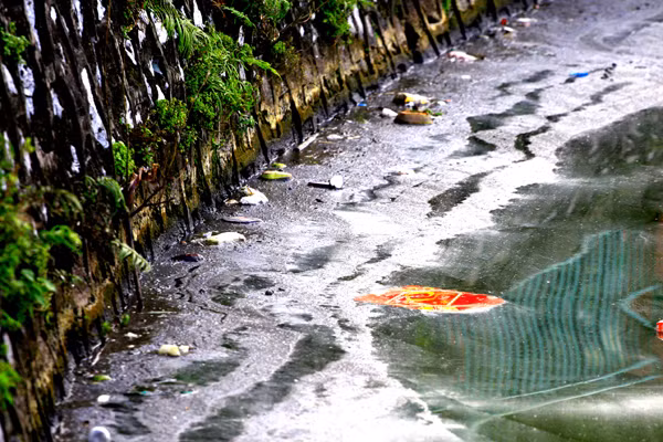 Đủ mọi thứ rác có thể tìm thấy bằng mắt thường trong lớp váng dày ven Hồ Tây