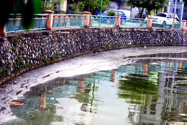 Dù được đội ngũ công nhân môi trường vớt thường xuyên nhưng không xuể do lượng rác và cá chết bị đánh dạt vào ven hồ liên tục