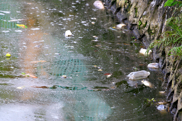 Chai lọ cũng được quẳng xuống hồ