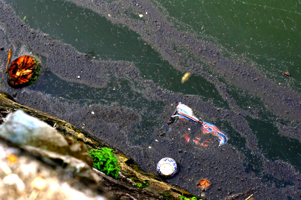 Rác của các quán ven hồ Tây cũng góp mặt