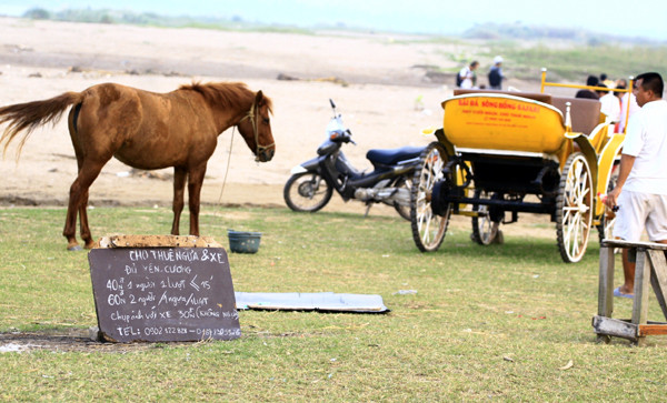 Các dịch vụ ăn theo đua nhau nở rộ Các dịch vụ ăn theo đua nhau nở rộ