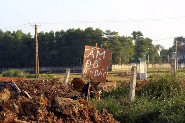 Càng cấm lại càng đổ đã trở thành thói quen của người Hà Nội chăng?