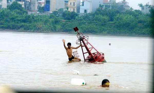 Nhiều kình ngư khác tỏ ra khá nghịch ngợm