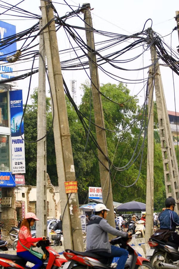 "Nhiều cây chụm lại cho cột đỡ nghiêng" "Nhiều cây chụm lại cho cột đỡ nghiêng"