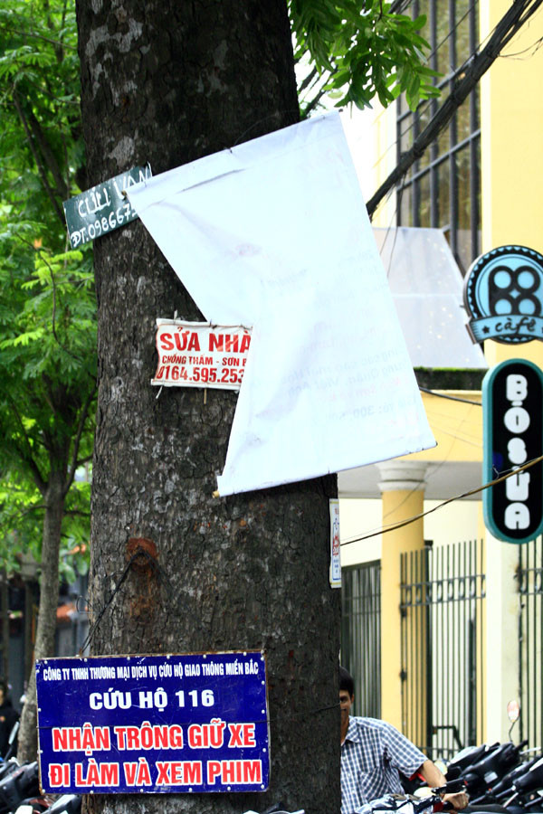 Đủ mọi loại quảng cáo cùng xuất hiện