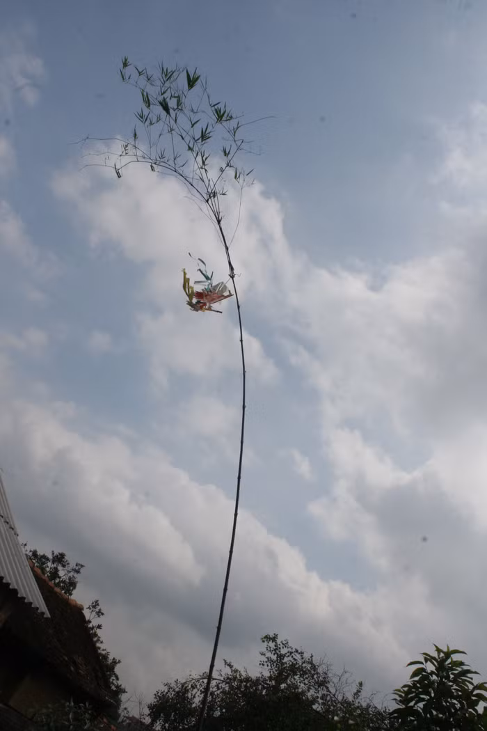 Trước đây, về làng Hậu (Liên Chung, Tân Yên, Bắc Giang) vào dịp Tết Nguyên đán, nhà nhà đều dựng cây nêu.