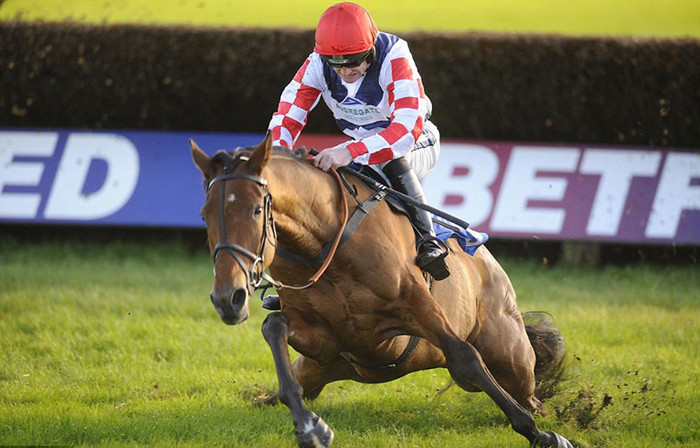 VĐV đua ngựa Sam Winner vất vả điều khiển tuấn mã của mình trong một cuộc đua tại Exeter VĐV đua ngựa Sam Winner vất vả điều khiển tuấn mã của mình trong một cuộc đua tại Exeter