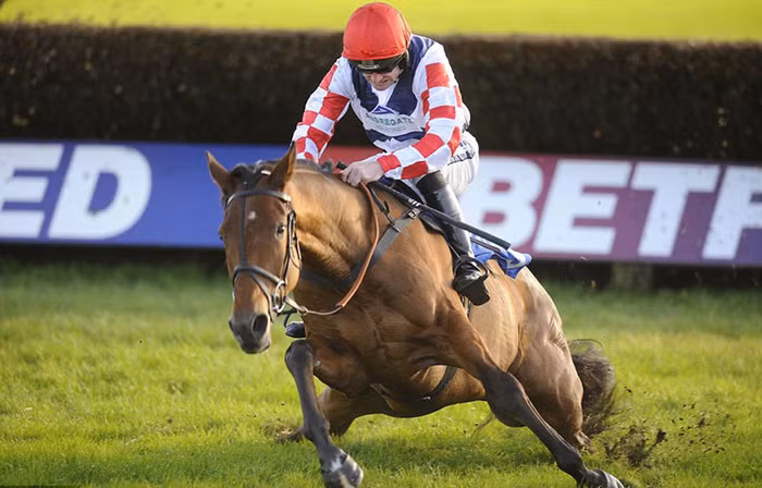 VĐV đua ngựa Sam Winner vất vả điều khiển tuấn mã của mình trong một cuộc đua tại Exeter