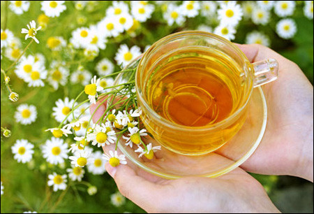 Ảnh: Aboutchamomile.com Ảnh: Aboutchamomile.com