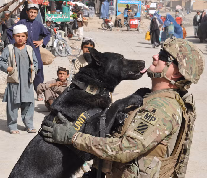 Một người lính trinh sát thủy quân lục chiến Mỹ và chú chó của mình khi thực hiện nhiệm vụ tại Afghanistan.