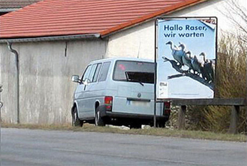 Chim kền kền: "Xin chào kẻ vượt tốc độ, chúng tôi đang đợi đây".