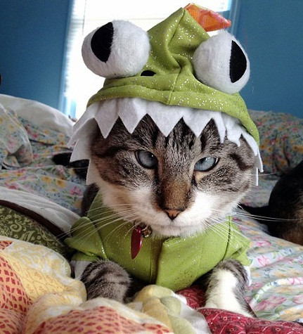 Hình con ếch, con hổ, kỳ lân, cướp biển,... Hình con ếch, con hổ, kỳ lân, cướp biển,...