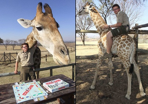 Shandor Larenty, 17 tuổi, đang chơi đùa với Mara, hươu cao cổ ba tháng tuổi tại Công viên Lion Johannesburg ở Nam Phi. Con hươu cao cổ này đã bị bố mẹ bỏ rơi. Shandor Larenty, 17 tuổi, đang chơi đùa với Mara, hươu cao cổ ba tháng tuổi tại Công viên Lion Johannesburg ở Nam Phi. Con hươu cao cổ này đã bị bố mẹ bỏ rơi.