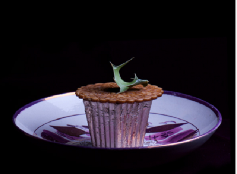 Thịt Pie Giá: 14.260 USD, hoặc 1.781 USD mỗi lát Bánh thịt chứa $ 870 thịt bò Wagyu, nấm matsutake Trung Quốc (mà chi phí khoảng $ 400), nấm cục mùa đông màu đen, và nấm bluefoot Pháp (giá khoảng $ 160). Hai chai của rượu vang Chateau Mouton Rothschild 1982 (thêm $ 1.740 cho mỗi chai) và lớp vỏ được bao phủ lá vàng ăn được. Thịt Pie Giá: 14.260 USD, hoặc 1.781 USD mỗi lát Bánh thịt chứa $ 870 thịt bò Wagyu, nấm matsutake Trung Quốc (mà chi phí khoảng $ 400), nấm cục mùa đông màu đen, và nấm bluefoot Pháp (giá khoảng $ 160). Hai chai của rượu vang Chateau Mouton Rothschild 1982 (thêm $ 1.740 cho mỗi chai) và lớp vỏ được bao phủ lá vàng ăn được.