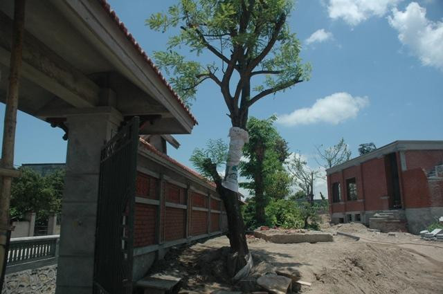 phía trước cổng vào phía trước cổng vào