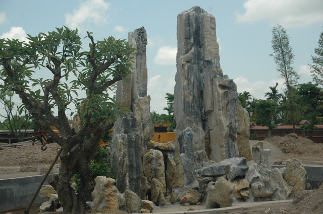 Lại là cây và núi Lại là cây và núi