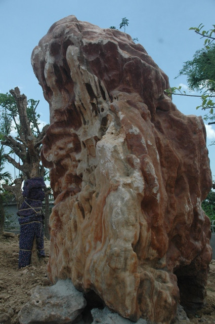 Chiêm ngưỡng ở một góc khác Chiêm ngưỡng ở một góc khác