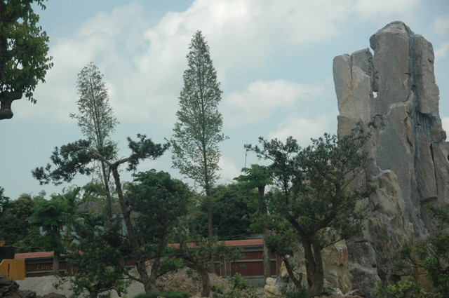 Chúng ta có cảm giác như đang lạc vào một khu rừng núi nguyên sinh Chúng ta có cảm giác như đang lạc vào một khu rừng núi nguyên sinh