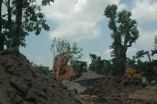 Đá quý và cây gỗ quý tạo nên sức "hấp dẫn" cho khu nhà vườn Đá quý và cây gỗ quý tạo nên sức "hấp dẫn" cho khu nhà vườn