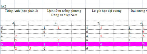 Em gái Công Vinh và bảng điểm í ẹ của Hoa khôi ĐH Văn Hóa, HN.