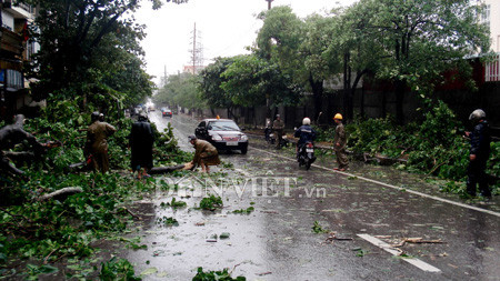 Cây đổ, biển báo đổ, đường ngập nước ở TX Cẩm Phả