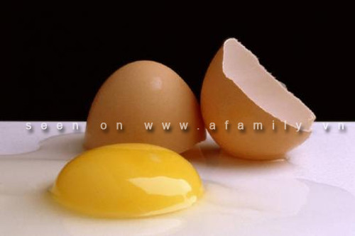 Những sự thật chưa biết về trứng ảnh 1 Những sự thật chưa biết về trứng ảnh 1
