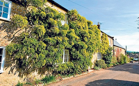 Longhouse Giá: 875.000 £ Longhouse là một ngôi nhà tương đối dài. Ngôi nhà có 5 phòng ngủ với tiện nghi đầy đủ. CÓ một phòng mái vòm với cửa kính màu. Ngoài ra còn có một nhà kính theo phong cách Victoria và một khu vườn nằm cạnh sông. Longhouse Giá: 875.000 £ Longhouse là một ngôi nhà tương đối dài. Ngôi nhà có 5 phòng ngủ với tiện nghi đầy đủ. CÓ một phòng mái vòm với cửa kính màu. Ngoài ra còn có một nhà kính theo phong cách Victoria và một khu vườn nằm cạnh sông.