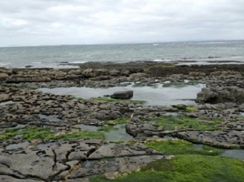 15. Hà Lan - 2,1% Dân số: 16,6 triệu người Tính đến cuối năm 2011, Hà Lan có 152 triệu phú có tài sản trên 100 triệu USD, giảm 5 người so với cuối năm 2010. Người giàu nhất ở đây là Charlene de Carvalho-Heineken, thừa kế hãng bia Heineken nổi tiếng với tổng tài sản trị giá 7,5 tỷ USD. 15. Hà Lan - 2,1% Dân số: 16,6 triệu người Tính đến cuối năm 2011, Hà Lan có 152 triệu phú có tài sản trên 100 triệu USD, giảm 5 người so với cuối năm 2010. Người giàu nhất ở đây là Charlene de Carvalho-Heineken, thừa kế hãng bia Heineken nổi tiếng với tổng tài sản trị giá 7,5 tỷ USD.