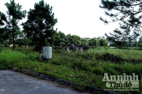 Những tầm cống lăn lóc Những tầm cống lăn lóc