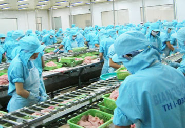 Công nhân của Công ty Bình An hy vọng sớm quay lại làm việc. Trong ảnh: Công nhân của Bình An thời “hoàng kim”. Ảnh: GIA TUỆ