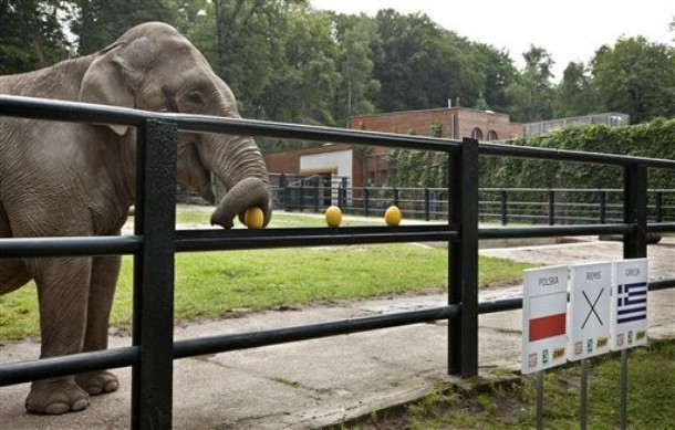 Voi dự đoán trận đấu giữa đội chủ nhà Ba Lan và Hy Lạp.