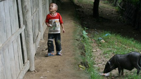 Trong khi mẹ dạy học, Lang Trung An tha thẩn chơi bên ngoài. Trong khi mẹ dạy học, Lang Trung An tha thẩn chơi bên ngoài.