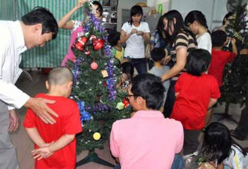 Coi chừng mắc bệnh từ cây thông Noel, Sức khỏe, cay thong noel, suc khoe, benh tat, mac benh, bao phu nu,