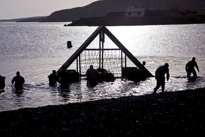 Binh sĩ thuộc Trung Đoàn Thủy Quân Lục Chiến thứ 2,đơn vị quân viễn chinh 24 thực hiện một khóa đào tạo tại vùng biển Arta, Djibouti, Pháp. Binh sĩ thuộc Trung Đoàn Thủy Quân Lục Chiến thứ 2,đơn vị quân viễn chinh 24 thực hiện một khóa đào tạo tại vùng biển Arta, Djibouti, Pháp.