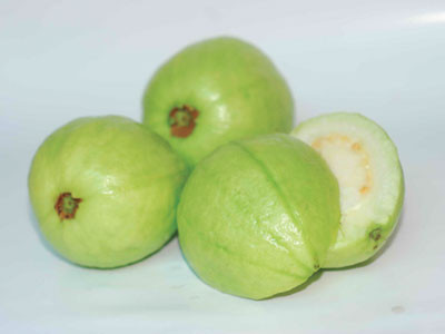 Ăn ổi để điều trị vô sinh nam, ngăn ngừa ung thư ảnh 1 Ăn ổi để điều trị vô sinh nam, ngăn ngừa ung thư ảnh 1