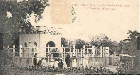 Các em nhỏ đang chơi ở công viên Thủ Lệ Các em nhỏ đang chơi ở công viên Thủ Lệ