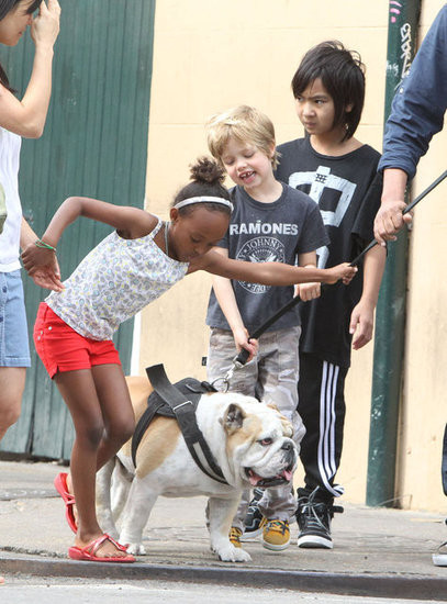 Có vẻ chú chó Jacques khá to khỏe nên Zahara chới với