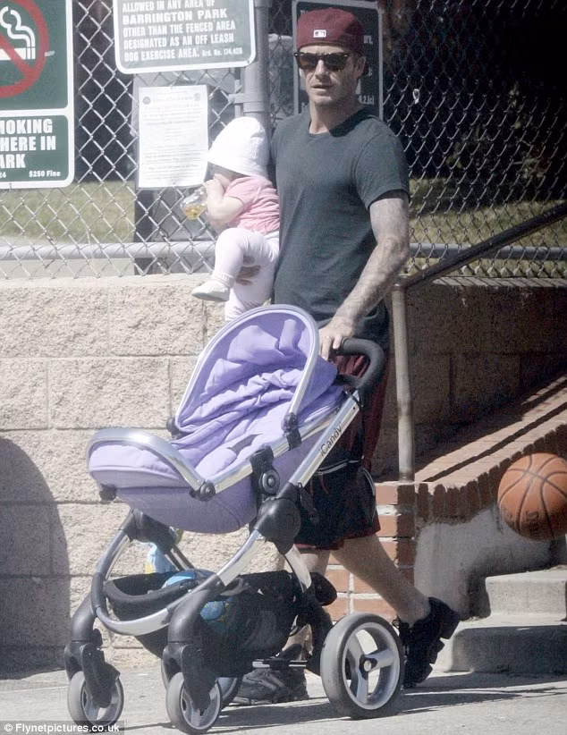 Ngày hôm qua, ông bố dễ thương David Beckham đã đưa cô con gái yêu 8 tháng tuổi Harper Beckham ra công viên gần nhà tại Brentwood, California để xem cậu con trai Romeo chơi bóng rổ.
