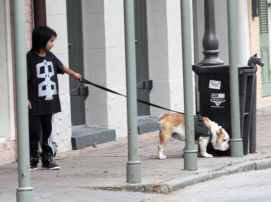 Maddox có khuôn mặt rất hiền, xinh trai và tạo được nhiều thiện cảm với báo giới