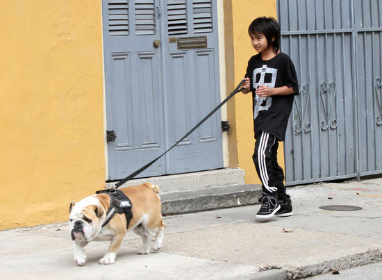 Cậu điều khiển Jacques rất cừ