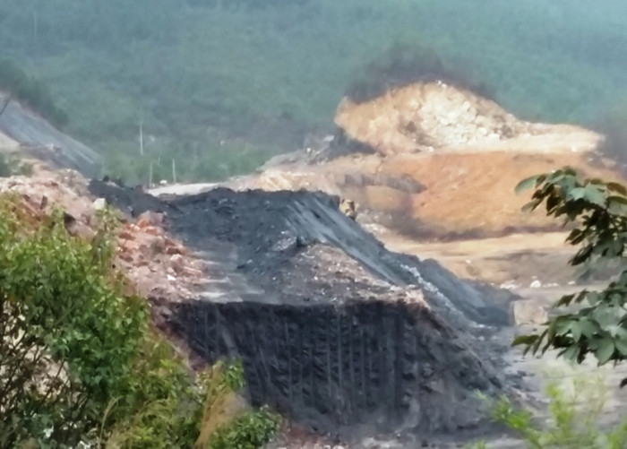 Cần tái cơ cấu toàn diện, tập trung phát triển sản phẩm cốt lõi ảnh 2 Cần tái cơ cấu toàn diện, tập trung phát triển sản phẩm cốt lõi ảnh 2