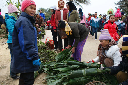 Chợ Thiều cầu may (thôn Thiều Huy, xã Cầu Lộc, huyện Hậu Lộc - Thanh Hóa) Chỉ họp mỗi năm đúng một lần vào ngày 26 tháng Chạp hàng năm. Người dân đến đây không chỉ nhằm mua bán hàng hóa mà chủ yếu để cầu may.